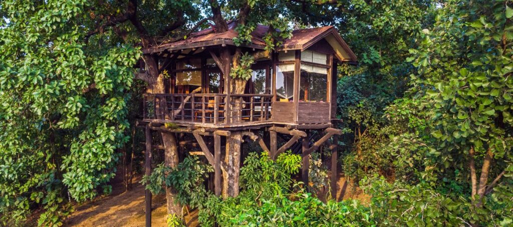 Pench Tree Lodge, ẤN ĐỘ